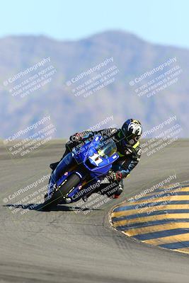 media/Feb-13-2022-SoCal Trackdays (Sun) [[c9210d39ca]]/Turn 12 (1pm)/